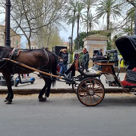 La Bedda Sicilia Palermo